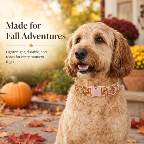 Fall Dog Collar, Cute Autumn Leaves Dog Collar - Soft Cotton Puppy Collars, Adjustable Heavy-Duty Metal Buckle Pet Collars for Small Medium Large Girl Boy Dogs S