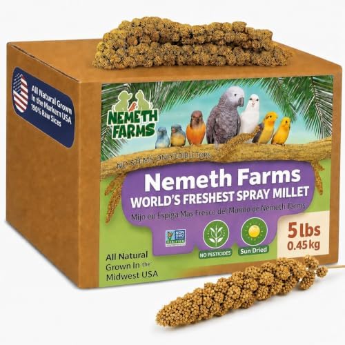 Nemeth Farms Spray Millet - Edible Tops Only, Non-GMO and Sun-Dried - 5 lbs for Parakeets, Conures and Cockatiels