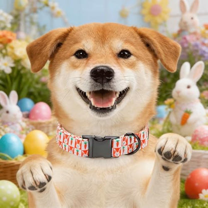 Easter Dog Collar, Orange Carrot Rabbit Print Pet Collars Cute Durable Metal Buckle Girl and Boy Dog Collars Adjustable for Small Medium Large Dogs