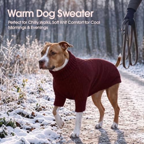 Turtleneck Dog Sweater,Thermal Knitted Sweater for Small Dogs Girl Boy, M