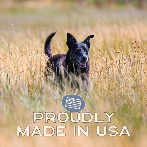 Smart Cookie Freeze Dried Beef Liver Bites - Single Ingredient Beef Liver Dog Treats - Low Calorie Training Treats for Dogs - 2oz Bag, 1 Pack