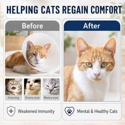 VICSOM L-Lysine for Cats, Cat Lysine Supplement Drops, Chicken, 2 Fl Oz