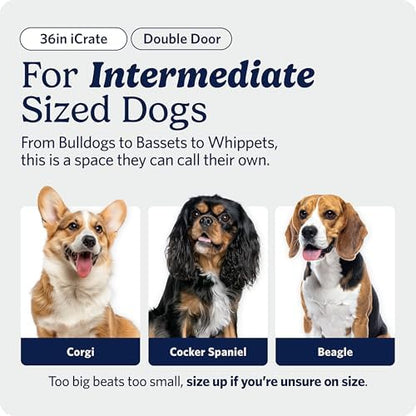 Midwest 36-Inch Double Door iCrate, for Medium-Large Breeds, 41-70 lbs