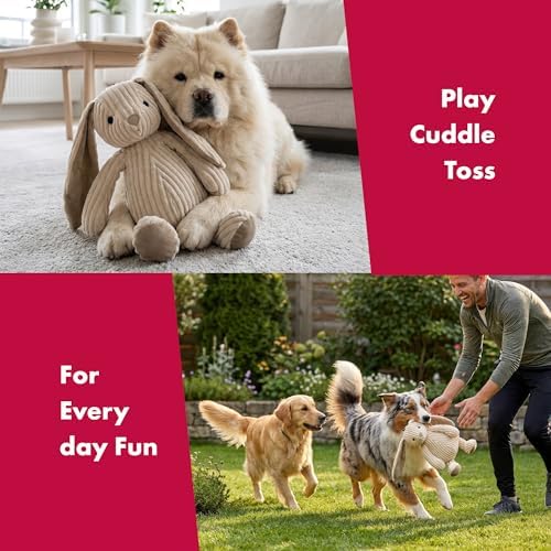 Petlou Soft Corduroy Rabbit Dog and Cat Toys with Multi-Squeaks and Crinkle Paper.15-Inch Creamy White Colour