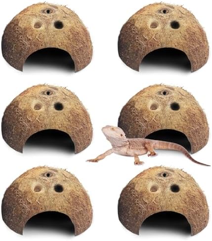 PINVNBY Natural Coconut Reptile Hideouts Lizard, Coco Hut Hermit Crab Hut Aquarium Fish Hide Cave for Small Reptile Crested Gecko Leopard Gecko Spider Snail Climber Toys (6 PCS Natural Surface)