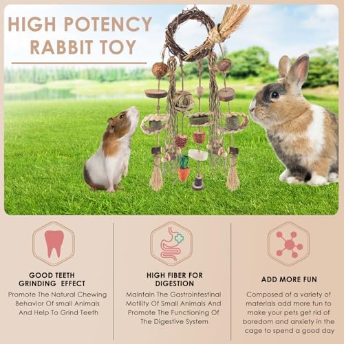 Bissap 3 PCS Rabbit Chew Toy, Bunny Cage Hanging Chew Toys Treats Rattan Ring with Snacks Water Grass Wooden Block Carrot for Guinea Pigs Chinchillas Hamsters Rats and Other Small Pets Teeth Grinding