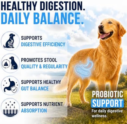Probiotics for Dogs - Dog Probiotics with Digestive Enzymes, Soft Chews