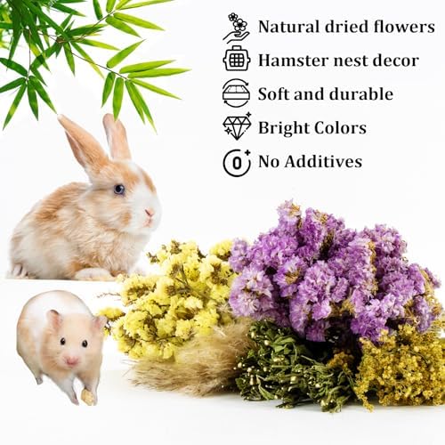 Sukh 42Pcs Hamster Sprays Natural - Sprays & Forage for Small Animals