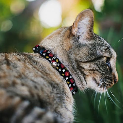 Disney Breakaway Cat Collar