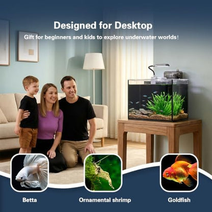 1.8 Gallon Fish Tank with Light,Filter,Lid,Landscape Accessories
