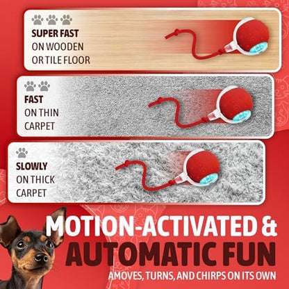 2025 New Interactive Pet Toy Ball for Indoor Cats & Small Dogs – Motion-Activated Automatic Rolling Ball with Chirping Sounds, Elastic Tail, Smart Rechargeable Toy to Keep Pets Active.