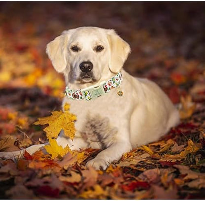 Lionheart glory Turkey Dog Collar, Thanksgining Day Dogs Collar Adjustable Soft Comfortable Collars for Small Dogs Girl or Boy Pet Gift Fall Cute Collar Quick Release Plastic Buckle
