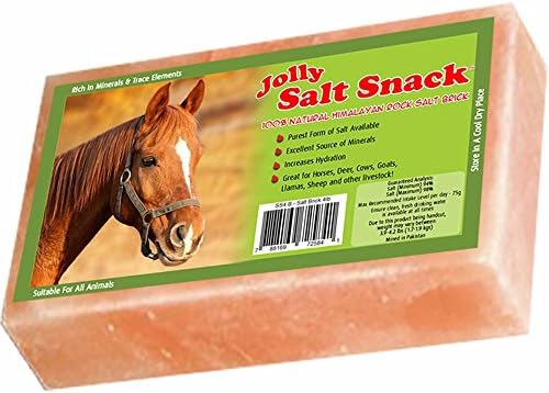 Horsemen's Pride 100% Himalayan Salt Brick, 4 Pounds
