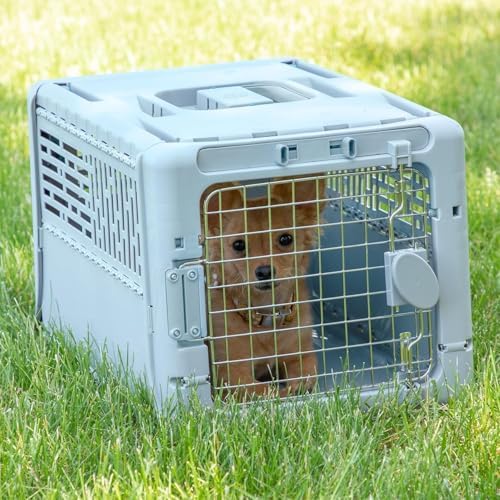 SportPet Designs Collapsible X-Small Pet Travel Carrier (Blue), Hard-Sided Kennel for Small Dogs, Puppies, Cats, Kittens, Animals up to 20lbs, Washable Home & Outdoor Pet Crate, 19.6"L x 13.5"W x 12"H