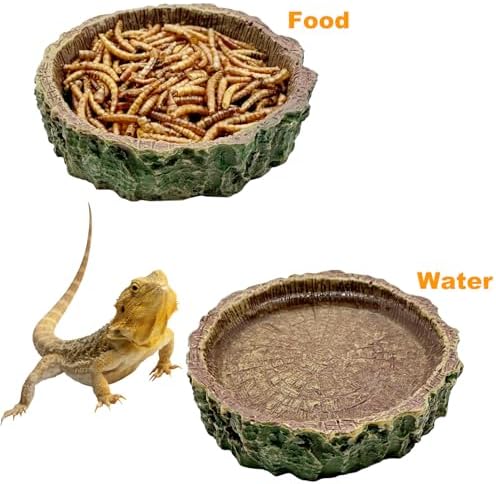 2 Pack Reptile Food Bowls, Reptile Feeding Terrarium Bowls for Bearded Dragon Lizard Frog Gecko Tortoise Hermit Crab Snail (Brown A)