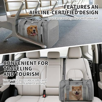 Cat Carrier, Soft-Sided Airline Approved Pet Carrier Case with 4 Ventilated Windows for Cats and Dogs Under 10-25Lbs (17.0 L x 11.0 W x 11.0 H Inch, Grey)