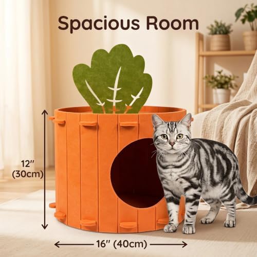 Cat Caves for Indoor Cats - Removable Washable Felt Cat Cave House