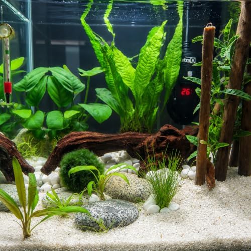 emours Driftwood Branches Reptiles Aquarium Decoration Assorted Size,(6-10 inch in Length),4 Pieces