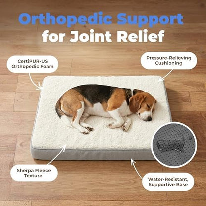 Best Pet Supplies Orthopedic Dog Bed with Memory Foam, Washable Dog Crate Mat for Small, Medium & Large Dogs, Thick Mattress for Crates, Kennels or Floor, Waterproof Pet Bed - Gray, 24 x 16 x 3