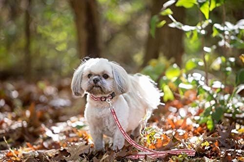 Pets First Collegiate Pet Accessories, Dog Leash, Alabama Crimson Tide, Small (Pack of 2)