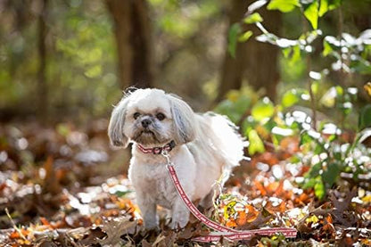 Pets First Collegiate Pet Accessories, Dog Leash, Alabama Crimson Tide, Small (Pack of 2)