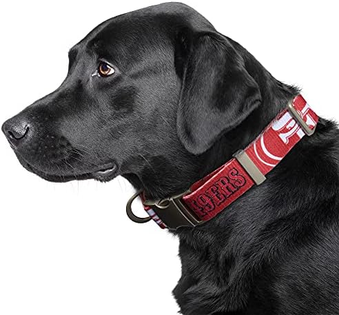 Littlearth NFL Detroit Lions Pet Premium Collar, Team Color, Small