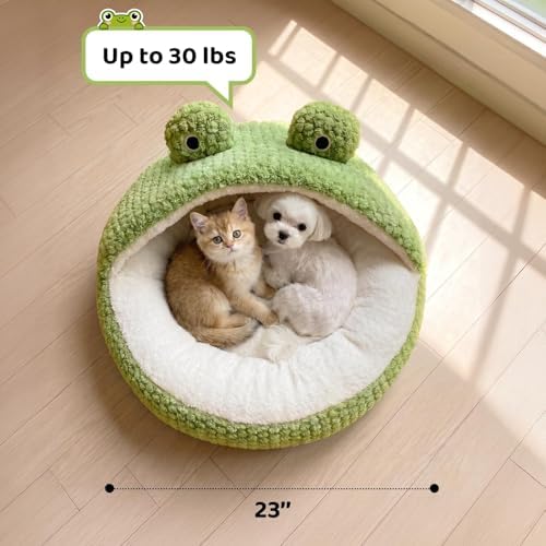 CWV Cute Cat Beds Kitten Beds, Soft Small Dog Beds, Washable Pet Beds for Puppy and Kitty, Funny Frog Cat Cave, 23 Inches