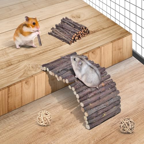ERKOON 11 Pack Chinchillas Chew Toys, Toys Accessories for Teeth Care, Natural Apple Wood Ladder Bell Roller for Russian Hamster Gerbils Rats Guinea Pigs (11PCS)