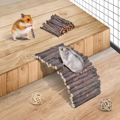 ERKOON 11 Pack Chinchillas Chew Toys, Toys Accessories for Teeth Care, Natural Apple Wood Ladder Bell Roller for Russian Hamster Gerbils Rats Guinea Pigs (11PCS)
