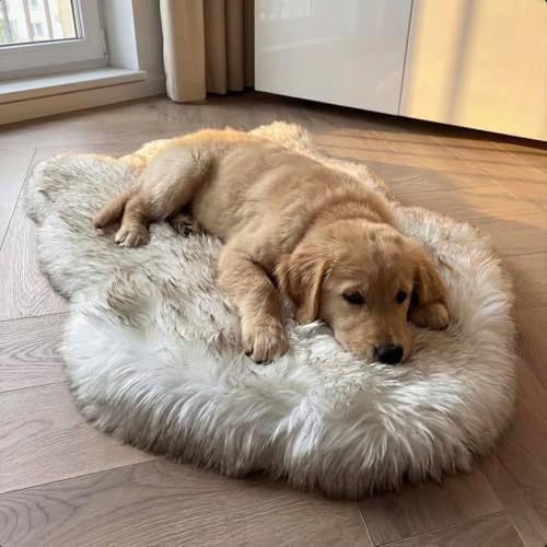 Faux Fur Orthopedic Dog Bed, Memory Foam, White w/Brown Tips 30"x20"