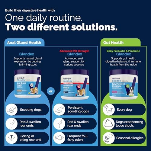 Vetnique Glandex for Dogs Anal Gland Chews 120ct Pumpkin, Digestive Enzymes