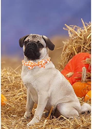 Lionheart glory Halloween Dog Collars, Bowtie Dog Collar Heavy Duty Adjustable Fall Dog Collar for X-Small Puppy Collar Dog Bow Female or Male Dog Collar