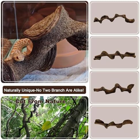 BNOSDM 2PCS Natural Reptile Climbing Branches Decor,1.3-1.8" Thick Natural Snake Climbing Forest Wood with Plant Leaf Decor,Lizard Forest Branch,Geckos Tank Tree Trunk Accessories for Bearded Dragons