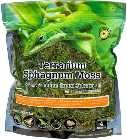 Galápagos (05213) Terrarium Green Sphagnum Moss, Natural, 4 Quart (Pack of 6)