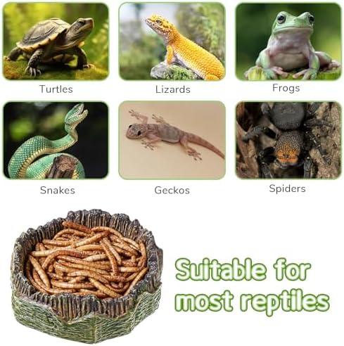 Small Reptile Food Dish, 2 PCS Reptile Water Dish Food Bowl Reptiles Feeding Foods Resin Terrarium Bowl for Bearded Dragon Gecko Frog Snake Chameleon Tortoise