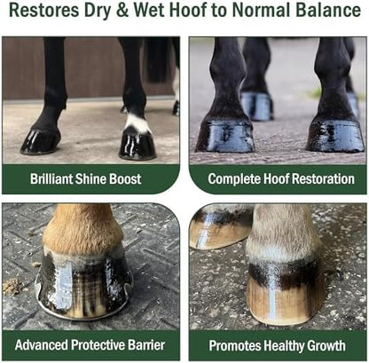 Hoof Oil, Horse Hoof White Line, Thrush, Abscesses, Overall Hoof Strength, Growth, Hoof Conditioning Rehydration. Certified Organic - Professionally Designed and Developed
