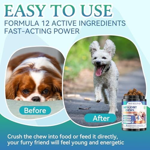 Dog Joint Supplement, Hip and Joint Supplement with Glucosamine Chondroitin