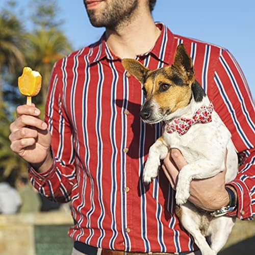Lionheart glory Dog Collar, Dog Collar with Bow, Popsicle Print Girl or Boy Dog Bowtie Collar Cute Pet Collar Gift for X-Small Puppy and Cat