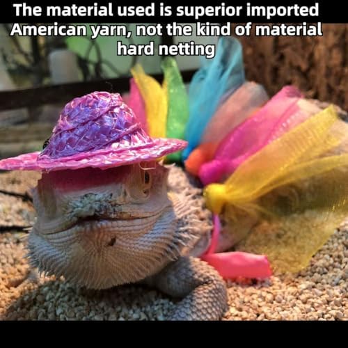 Colorful Lizard Tutu Skirt Hat Set Soft Rainbow Costume for Bearded Dragon