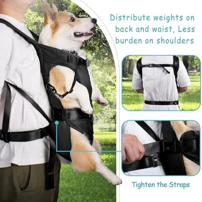PetBonus Dog Front Carrier Backpacks, Legs Out Easy-fit Puppy Chest Carrier