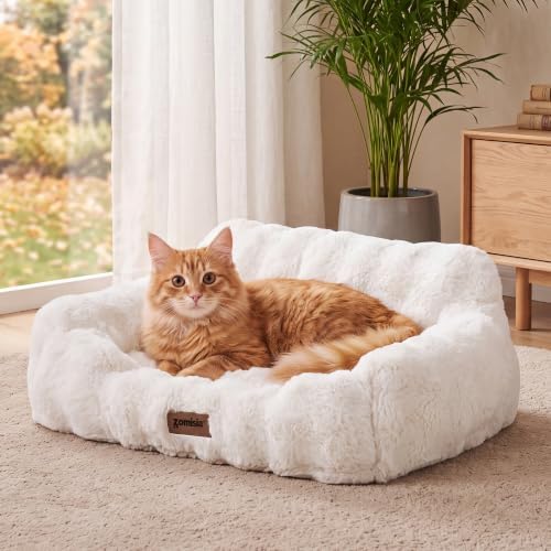 ZOMISIA Orthopedic Cat Couch Bed for Indoor Cats, Removable Washable Cover
