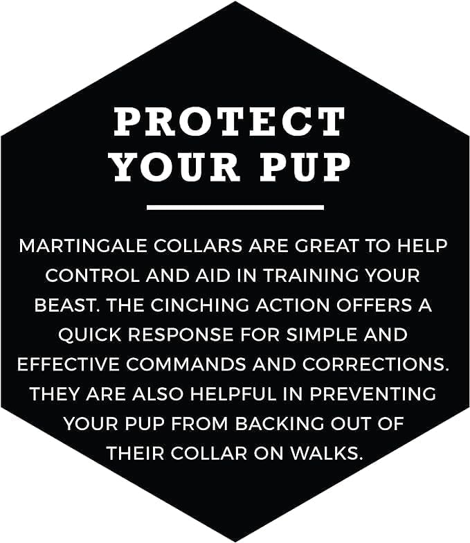 Wolfgang Martingale Dog Collar Buenaonda Print Small