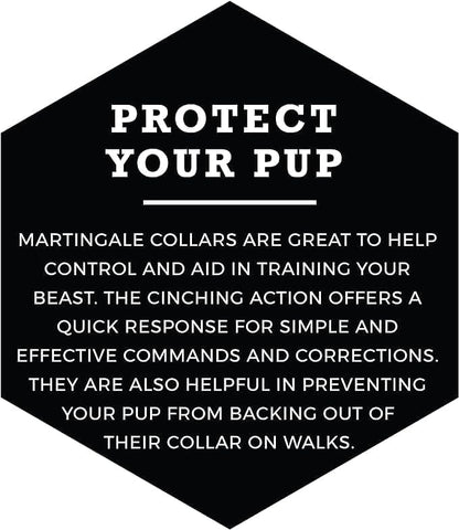 Wolfgang Heavy Duty Martingale Dog Collar with Quick Release Nylon Buckle for Walking & Training, ChevTech Print, Medium