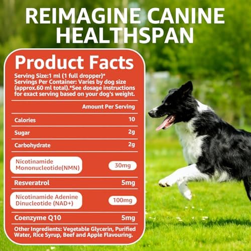 Dog Longevity Supplement NAD+ & NMN, Liposomal NAD Nicotinamide Riboside Resveratrol, Joint Health, Vitality & Healthy Aging, Easy to Give Every Day - Better Absorption, 60ML