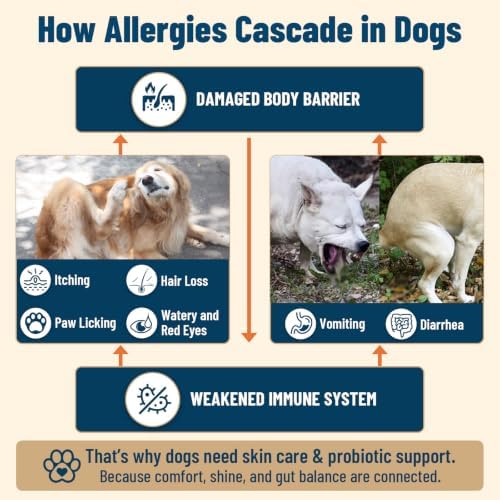 Dog Allergy Chews with Probiotics for Dogs, Dog Itching Skin Relief, 200 Ct