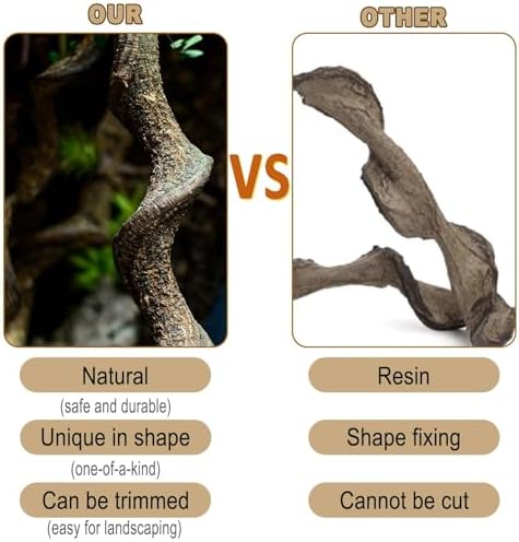 Reptile Decor 4PCS Natural Forest Branch Terrarium Habitat Wood Decoration Lizard Climbing Tree Branch for Bearded Dragon Gecko Snake Frog Chameleon Spider