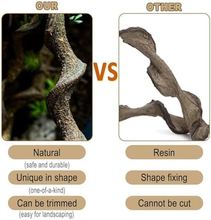 Reptile Decor 8PCS Natural Forest Branch Terrarium Habitat Decoration Lizard Climbing Tree Branch for Bearded Dragon Gecko Snake Frog Chameleon Spider