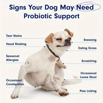 Dog Probiotics - Pet Digestive and Immune Supplement - Suitable for All Dog Breeds - Salmon Favor - 4.32 Ounces - 30 Tablets