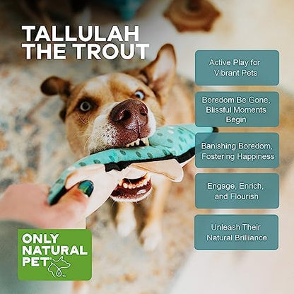 Only Natural Pet Mountain Friends Recycled Plush Dog Toys - Durable Double-Stitched Design with Internal Squeaker, Large Plush Ears & Soft Crinkle Tail - Pet Toy | Tallulah the Trout, 6" x 14.5"