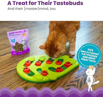Catstages by Nina Ottosson Purrfect Bitez Natural Crunchy Cat Treats for Puzzles, Toys, Feeders, & Training, USA-Made, Real Chicken Flavor, 4oz (Pack of 2)